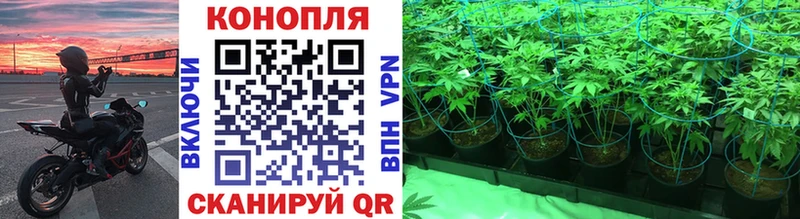 Марихуана OG Kush Краснослободск